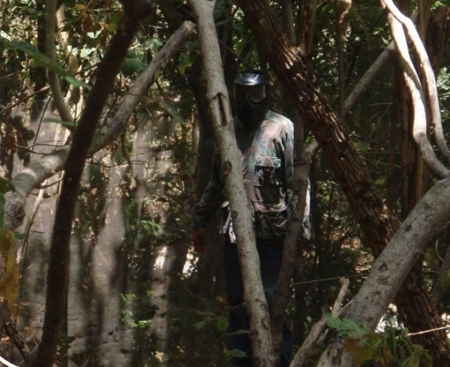 El bosque es el campo